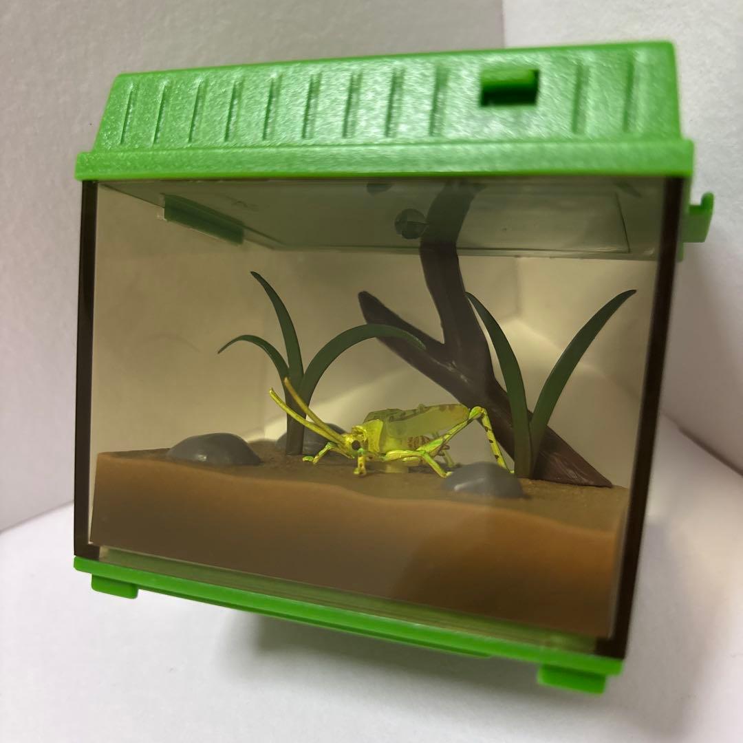 虫かごギャラリー】スズムシ＆キリギリス 鳴く 動く 昆虫 フィギュア