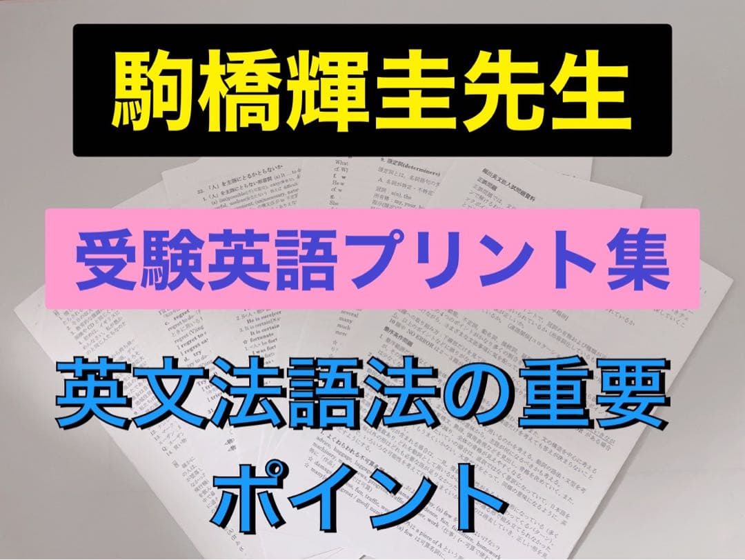 駿台 駒橋輝圭先生 英語まとめプリント集 鉄緑会 河合塾 東進 - メルカリ