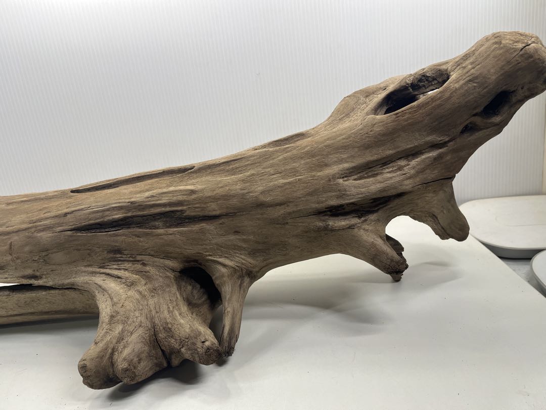 W27特大流木 アク抜き済み流木 爬虫類シェルター 登り木 インテリア