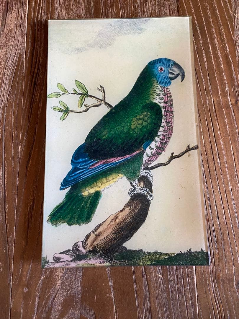 ジョンデリアン　デコパージュプレート JOHN DERIAN】デコパージュプレート Friendship | フィールシーン