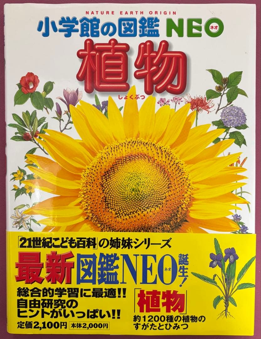 小学館の図鑑 NEO 9冊 小学館のこども図鑑 プレNEO 2冊 小学館の