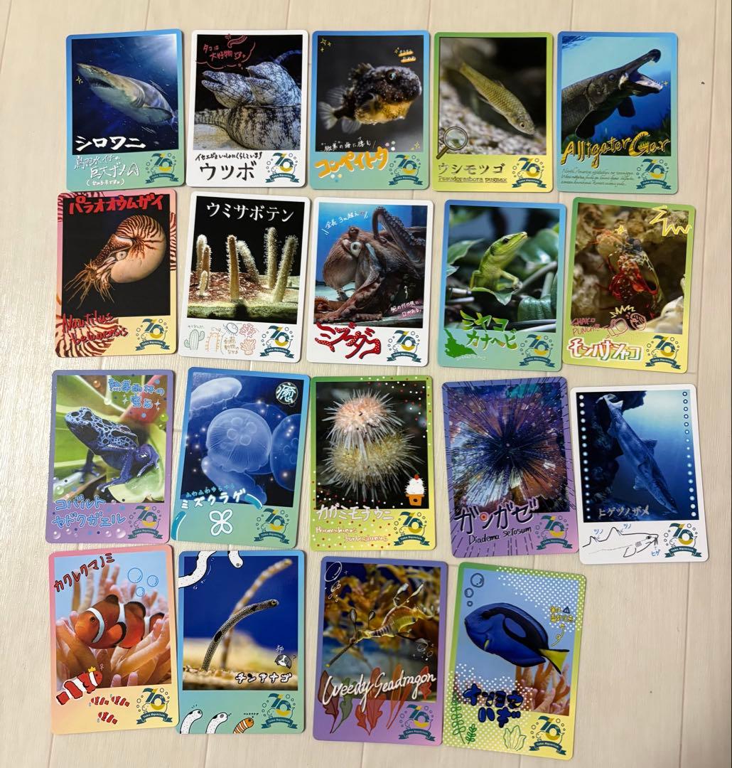 鳥羽水族館コレクションカード19枚セット - メルカリ