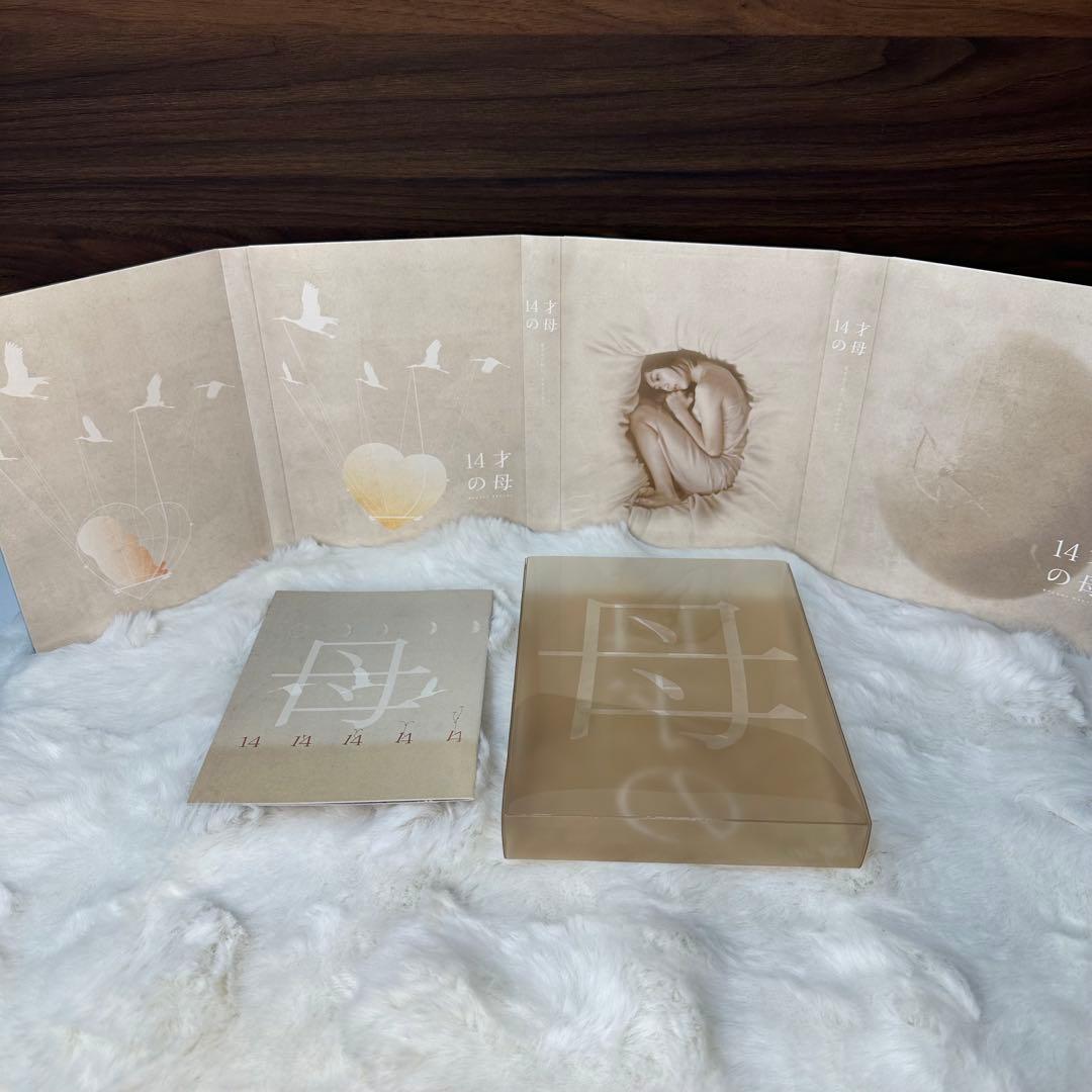 ドラマ 14才の母 愛するために 生まれてきた DVD-BOX〈5枚組〉