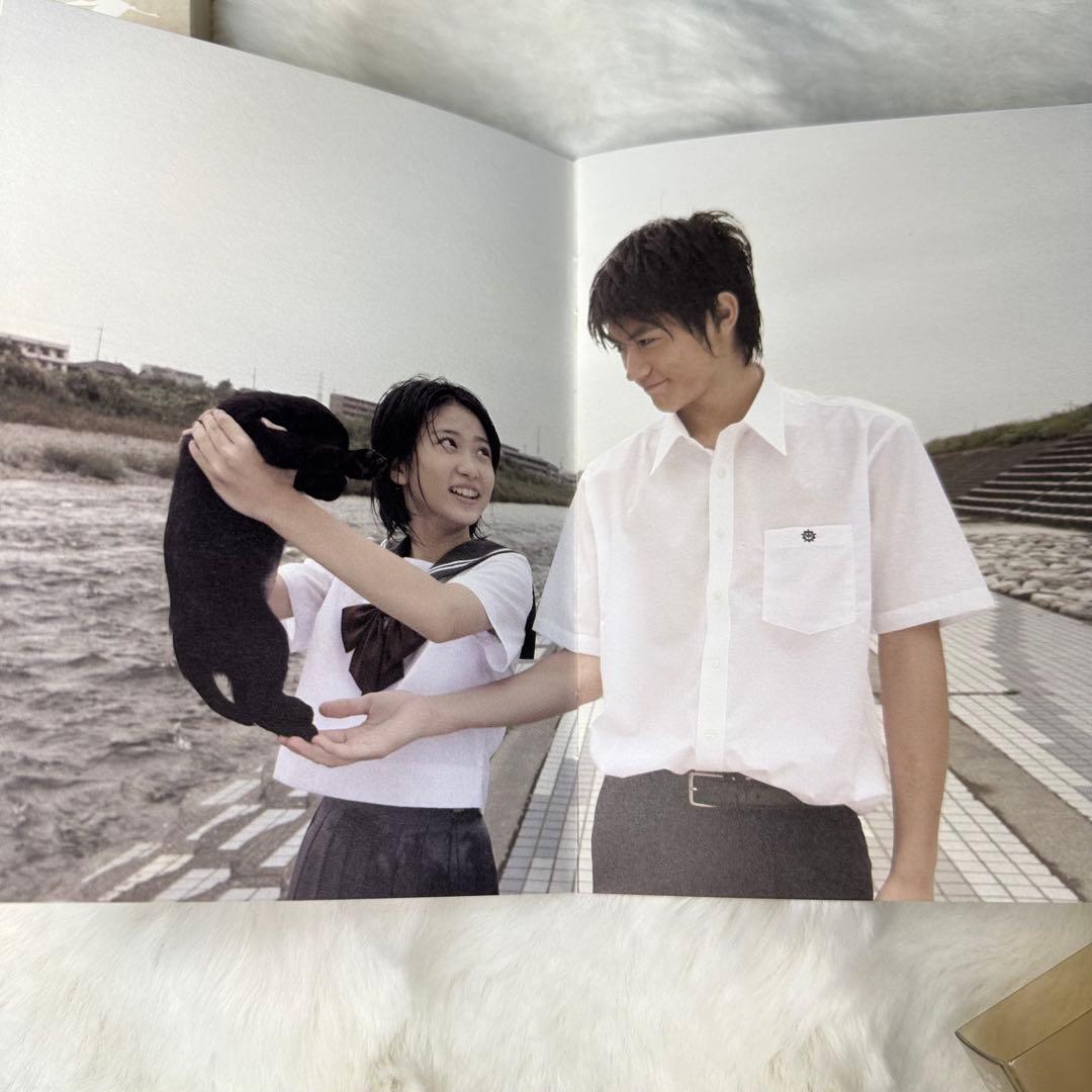 ドラマ 14才の母 愛するために 生まれてきた DVD-BOX〈5枚組〉