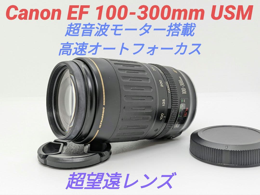 1月23日限定価格♪Canon EF 100-300mm USM Amazon.co.jp: Canon EF 100-300mm f/4.5-5.6 USM 望遠ズームレンズ