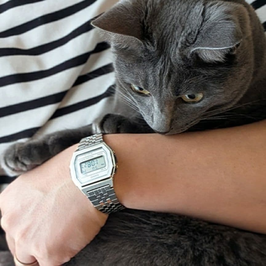 ◇新品未使用◇ A1000A-7JF フルメタル レトロ調 CASIO - メルカリ