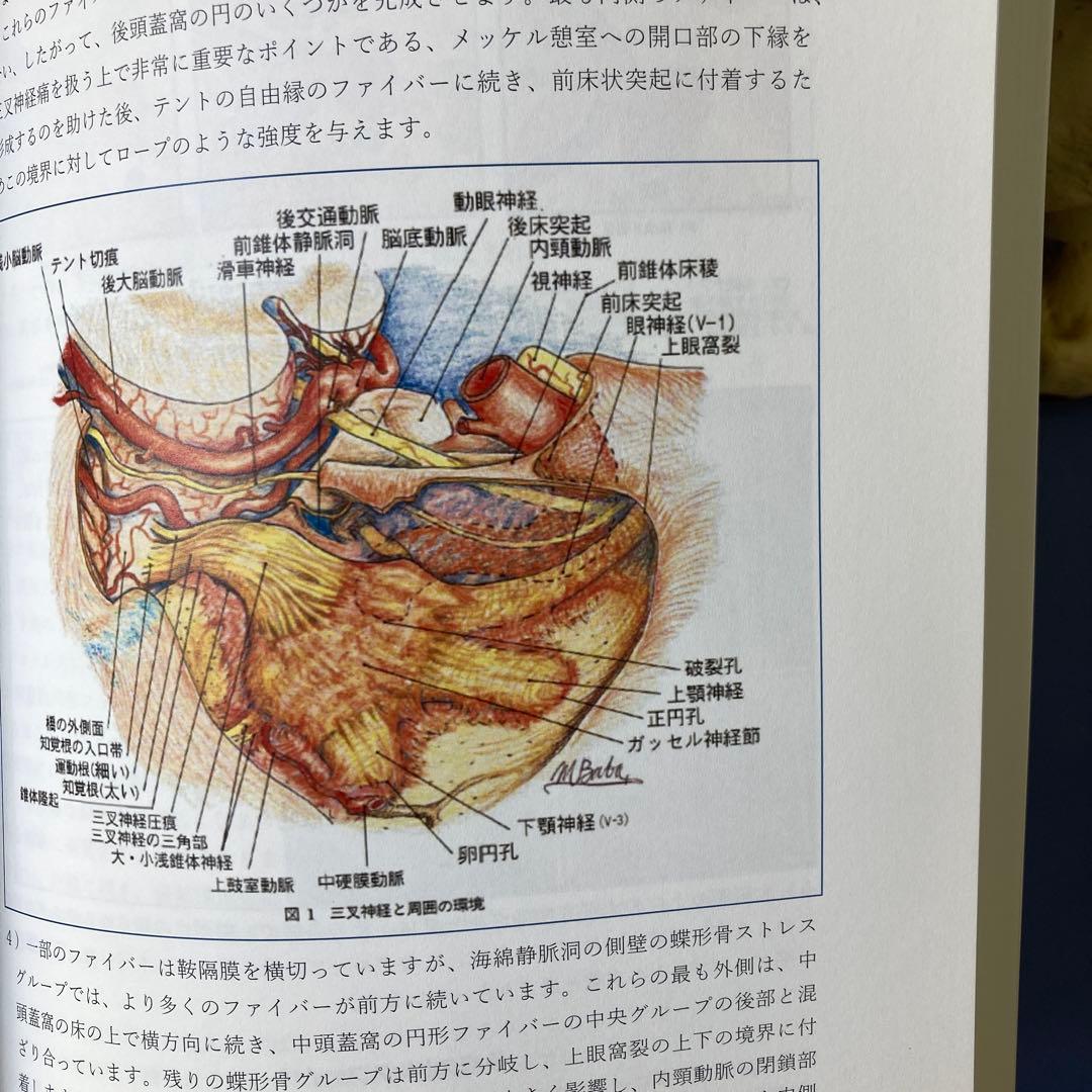 アーバックル著作選集 オステオパシーの通販はau PAY マーケット