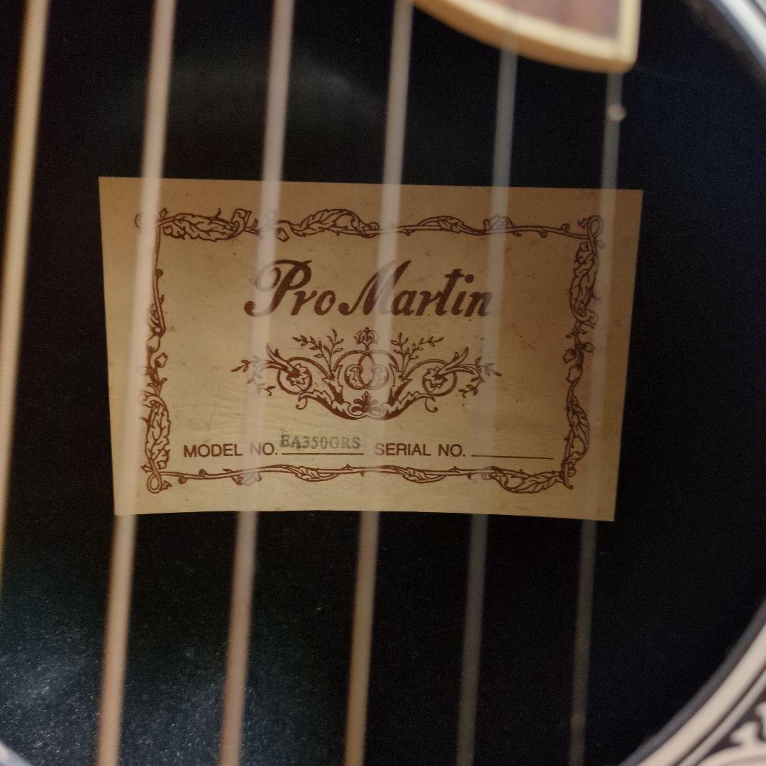 Pro martin ea350grs エレアコ ギター グリーン - メルカリ