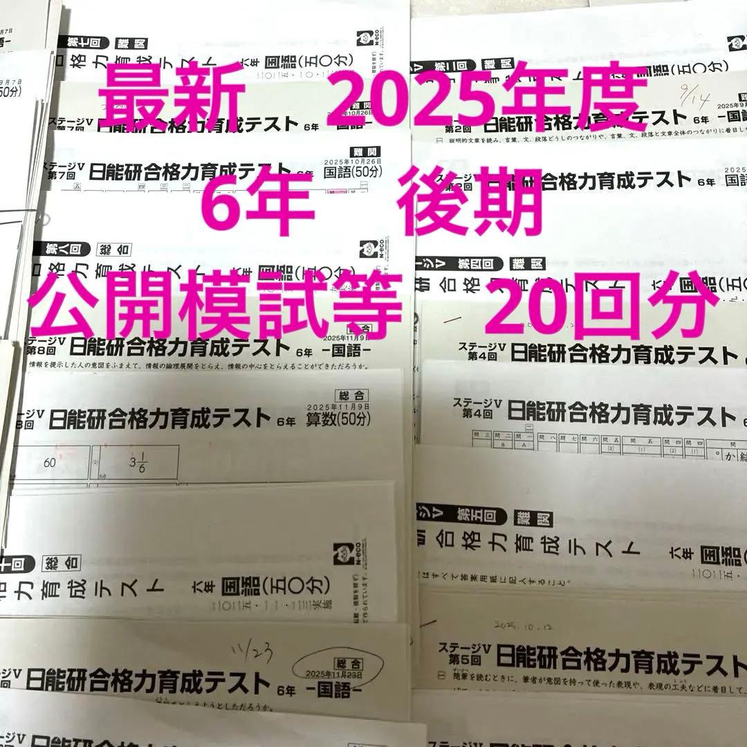 【最新2025年】日能研6年 後期　20回分　公開模試　育成テスト　入試実践模試 最新2025年】日能研6年 後期 20回分 公開模試 育成テスト 入試実践模試