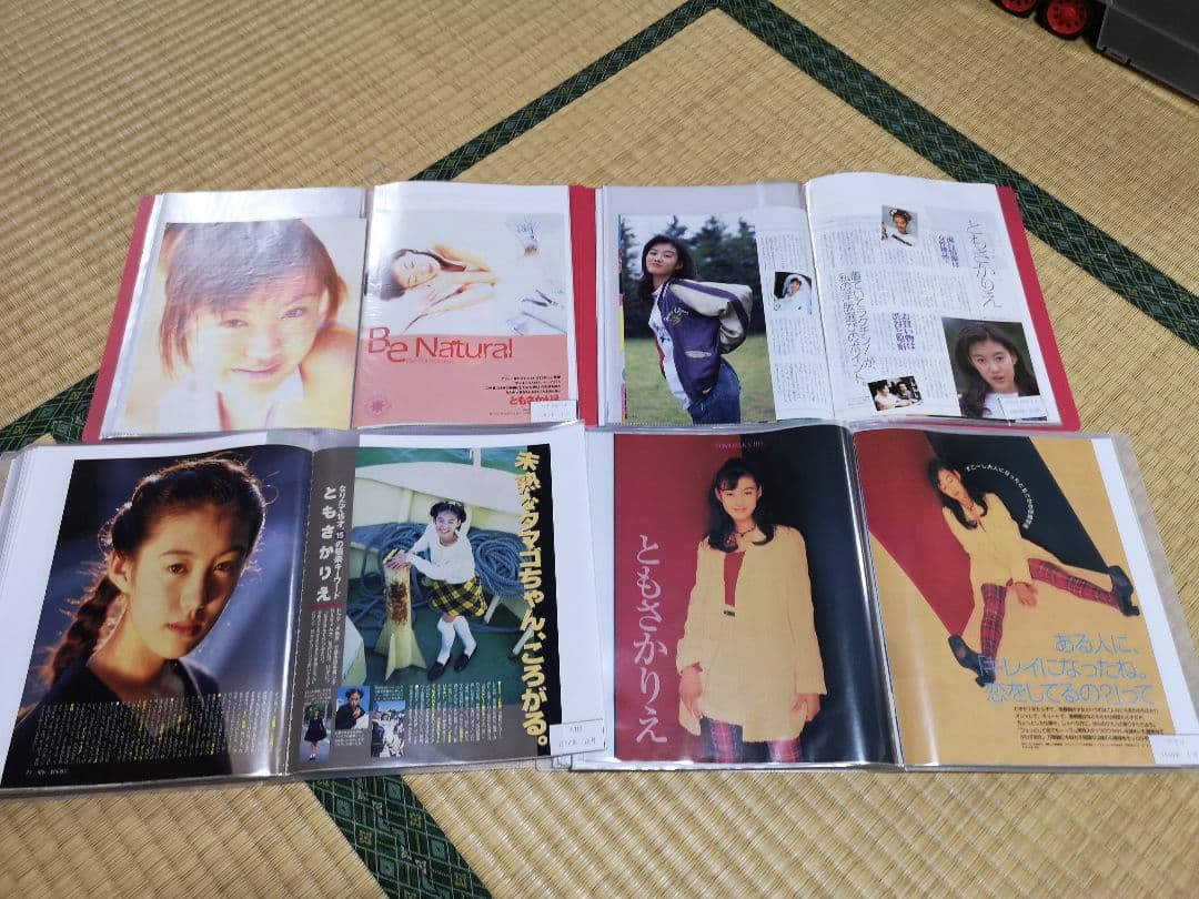 ともさかりえ(1冊200円計算)81冊分209ページ切り抜きしファイリング済み