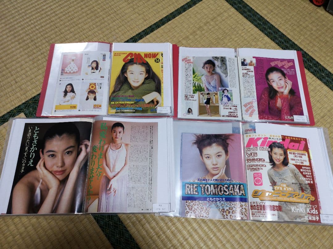 ともさかりえ(1冊200円計算)81冊分209ページ切り抜きしファイリング済み