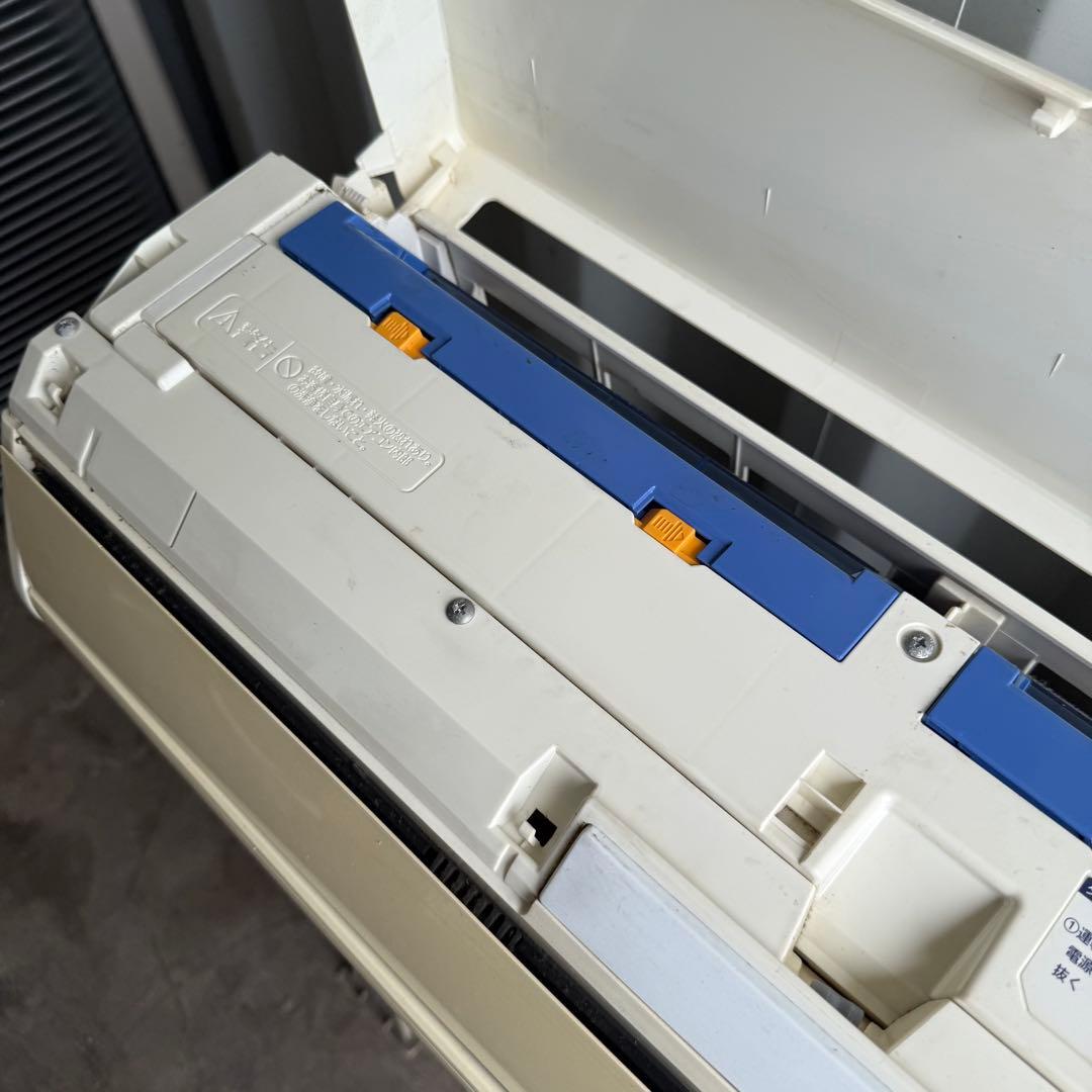 54ジャンク いのちゃん