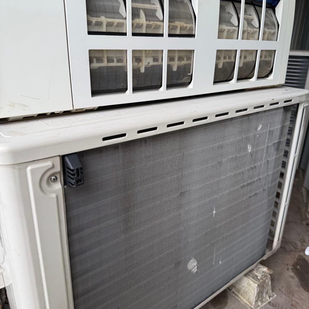 54ジャンク いのちゃん