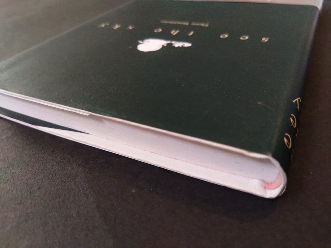 See the sky 山本徹 シーザスカイ