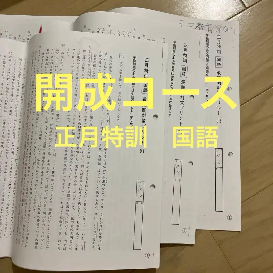 小6 正月特訓 国語 最難関対策プリント01、02、03 SAPIX - メルカリ
