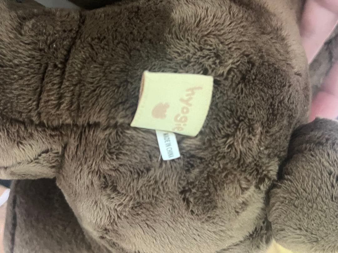 NCT ヘチャン 40cm ぬいぐるみ 다님 ダニム ワンヒョギ 왕효기 - メルカリ