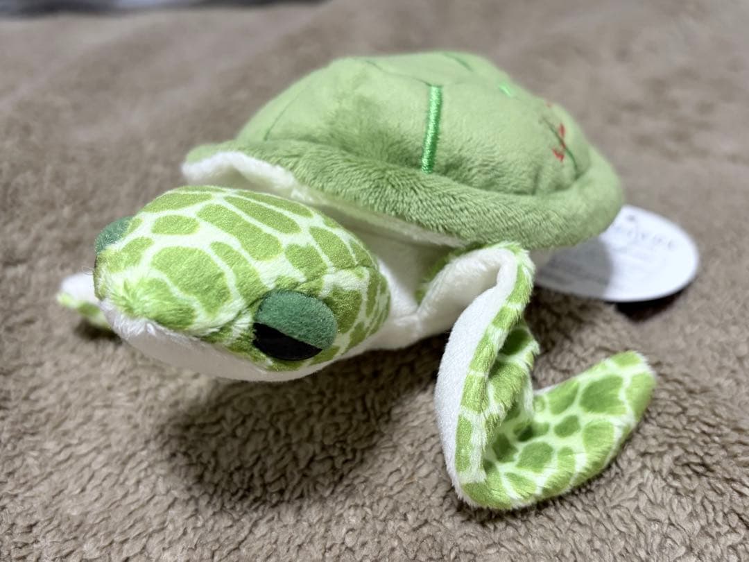 シギラアラマンダ カメのぬいぐるみ - メルカリ