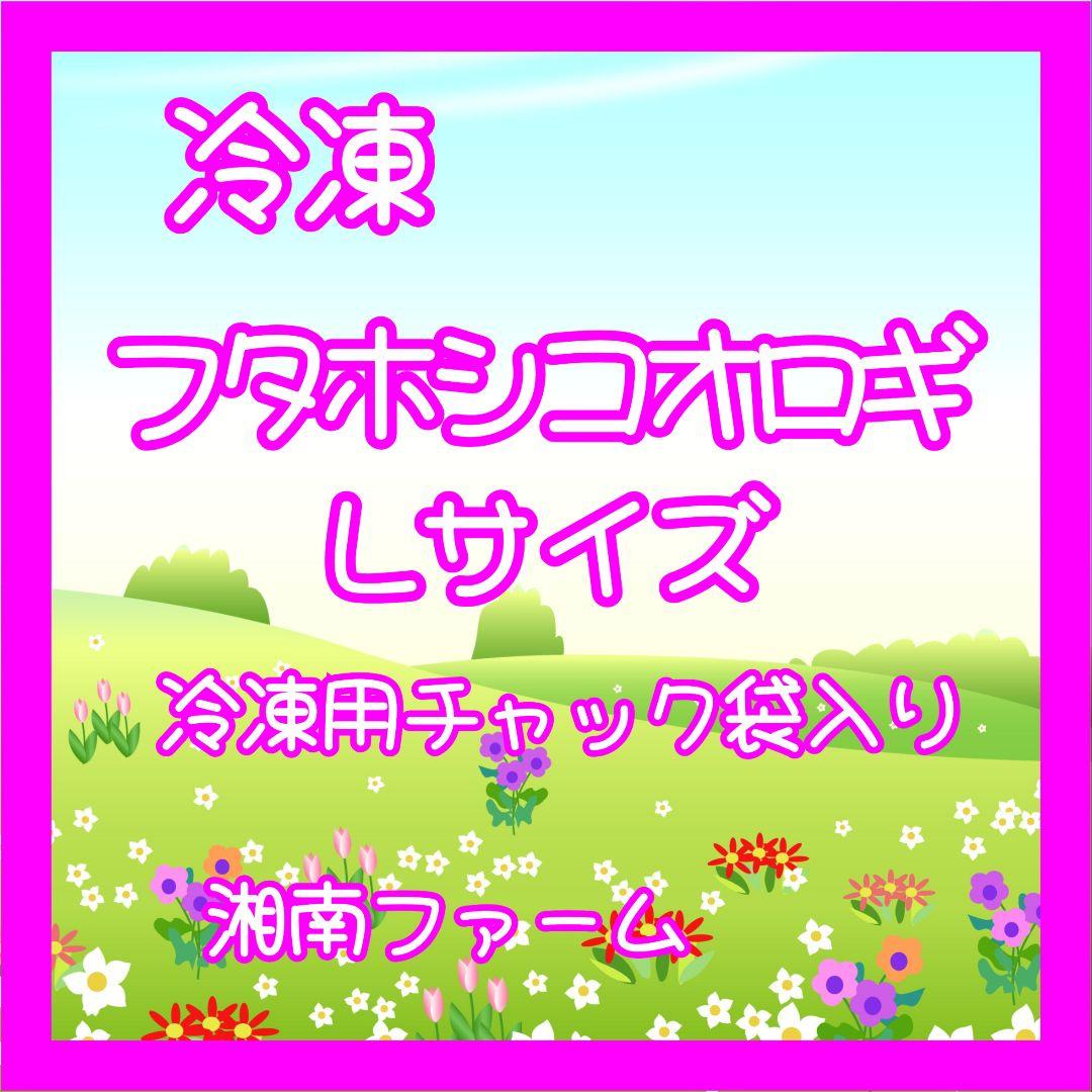 冷凍コオロギ Lサイズ 2kg 爬虫類 両生類 小動物 アロワナ フトアゴ等