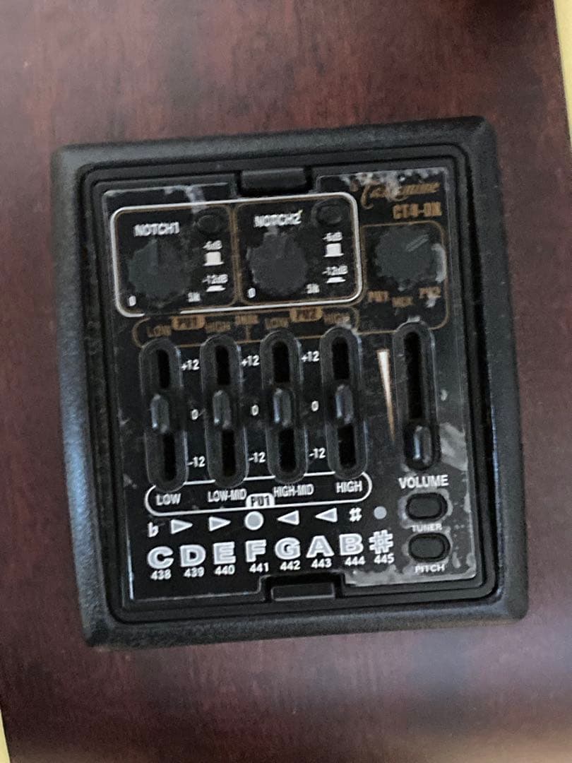 Takamine タカミネ DMP012 SAS 長渕剛