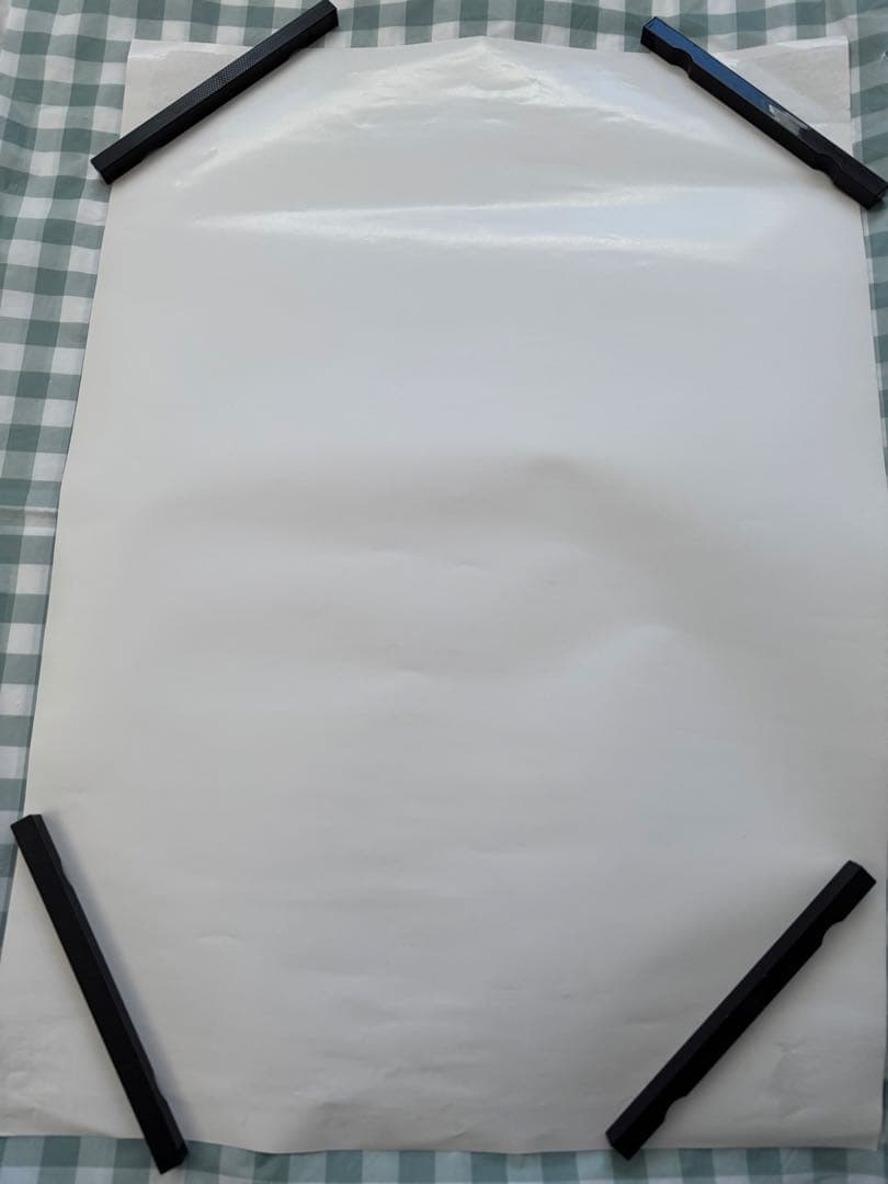 The Biscats 2023年ツアー 非売品 B2 ポスター - メルカリ