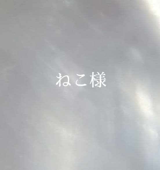 8.ねこ様　オーダー 猫オーダー作品例】猫88 シャムトラ | うちの子のけだまだま