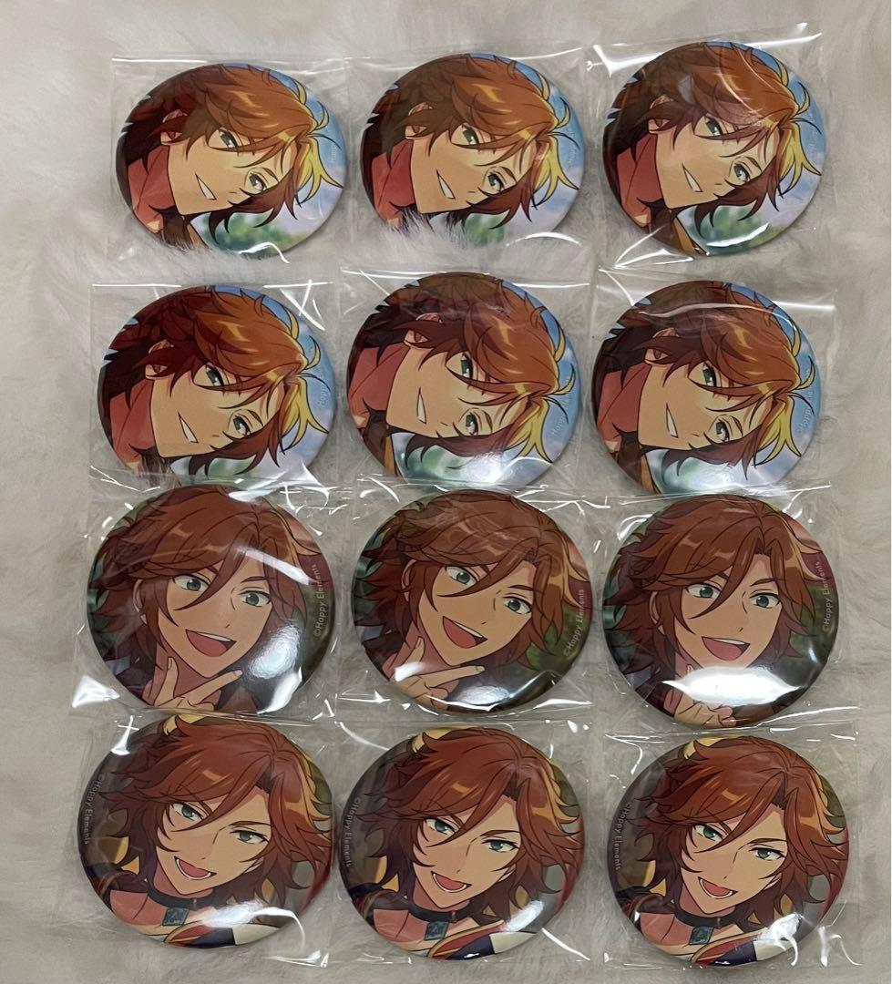 あんさんぶるスターズ フィーチャー2 イベコレ 缶バッジ 三毛縞斑