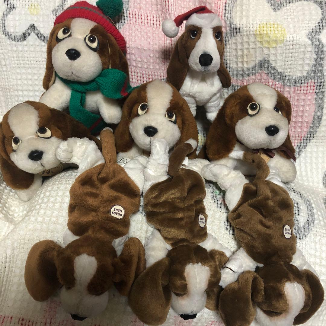 Hush Puppies ハッシュパピー 犬 ぬいぐるみ 8コセット 中古品 - メルカリ