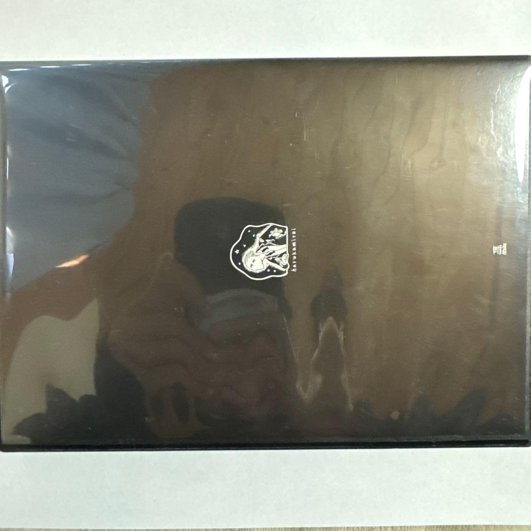 ハルカミライ DVD