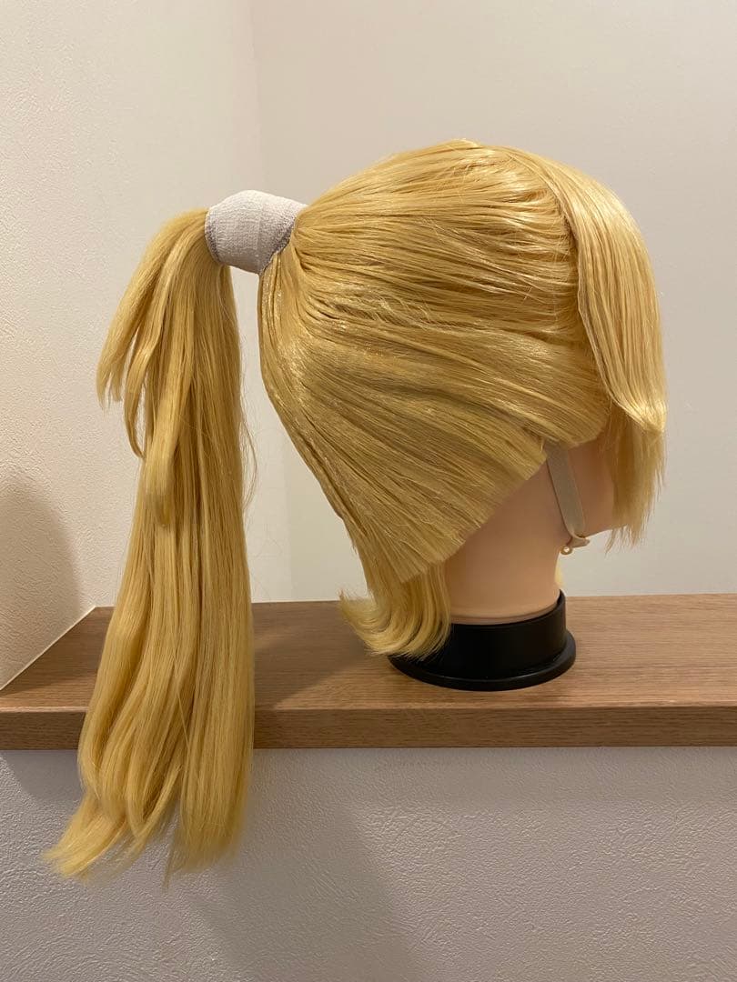 忍たま乱太郎 忍たま 斉藤タカ丸 コスプレ ウィッグ - メルカリ