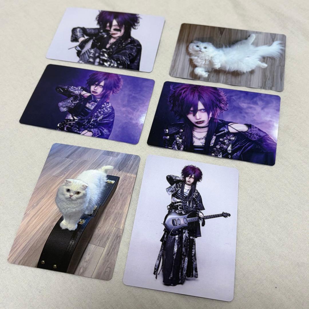 Royz 杙凪 トレーディングカードセット - メルカリ