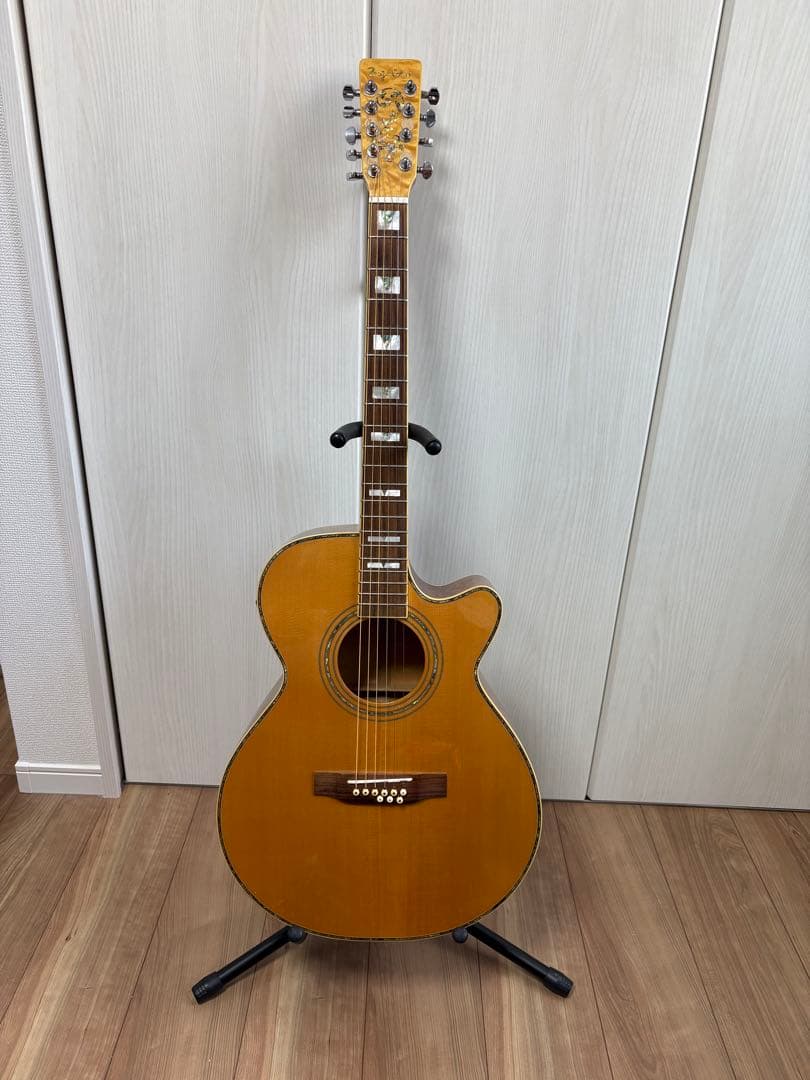 Bugs Gear ９弦エレアコギター　中古品 James J-900/C Natural L.R.Baggs PU搭載エレアコ オール単板 オーディ