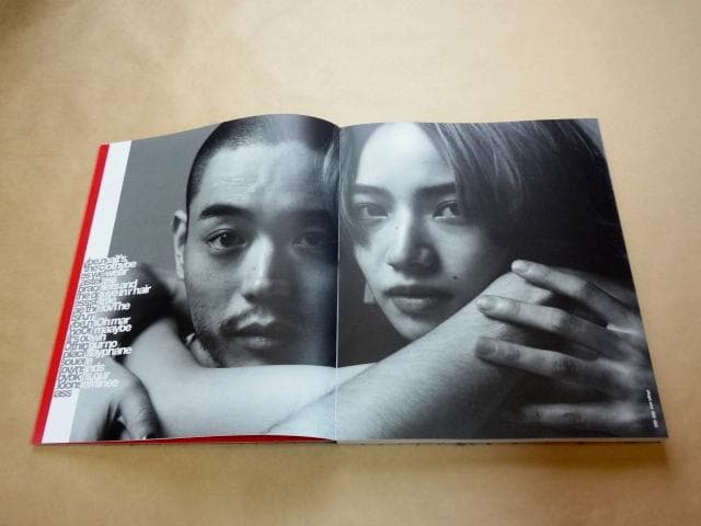☆ 菅田将暉 小松菜奈 アートブック 「FF0921 PIEZOGLYPH」 ☆ - メルカリ