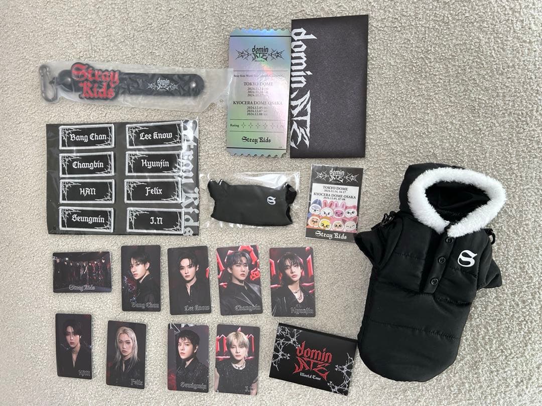 straykids dominATE tour アプグレ特典 - メルカリ