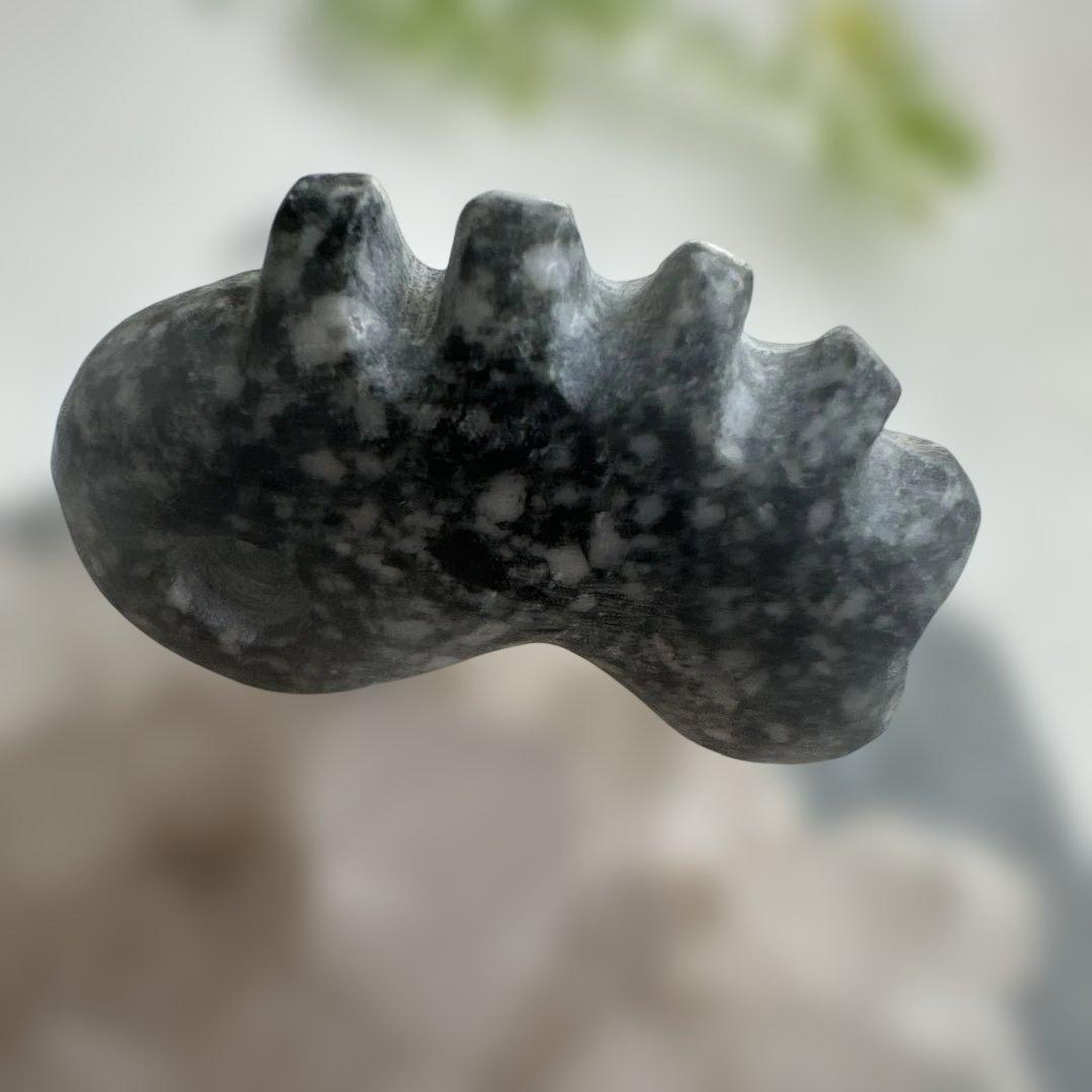 遠野の石 高波動霊石 龍神石 感謝の石 奇跡石 タテガミ勾玉