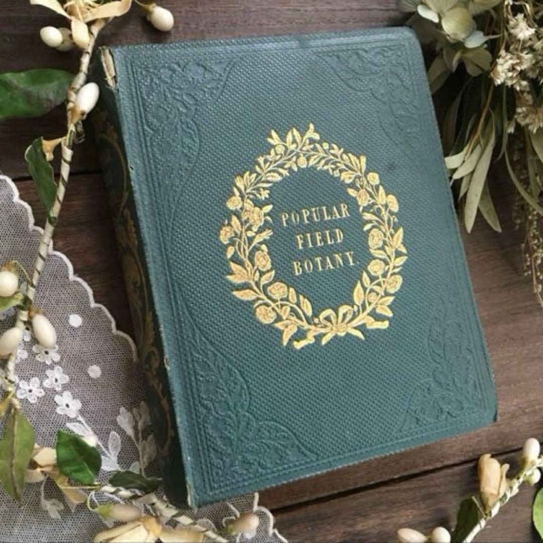 L833洋書古書 【1852年発行】大変希少なイギリスのアンティーク植物