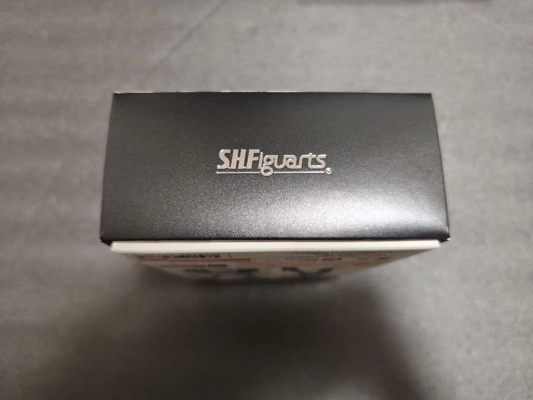 S.H.Figuarts（真骨彫製法）　シャドームーン