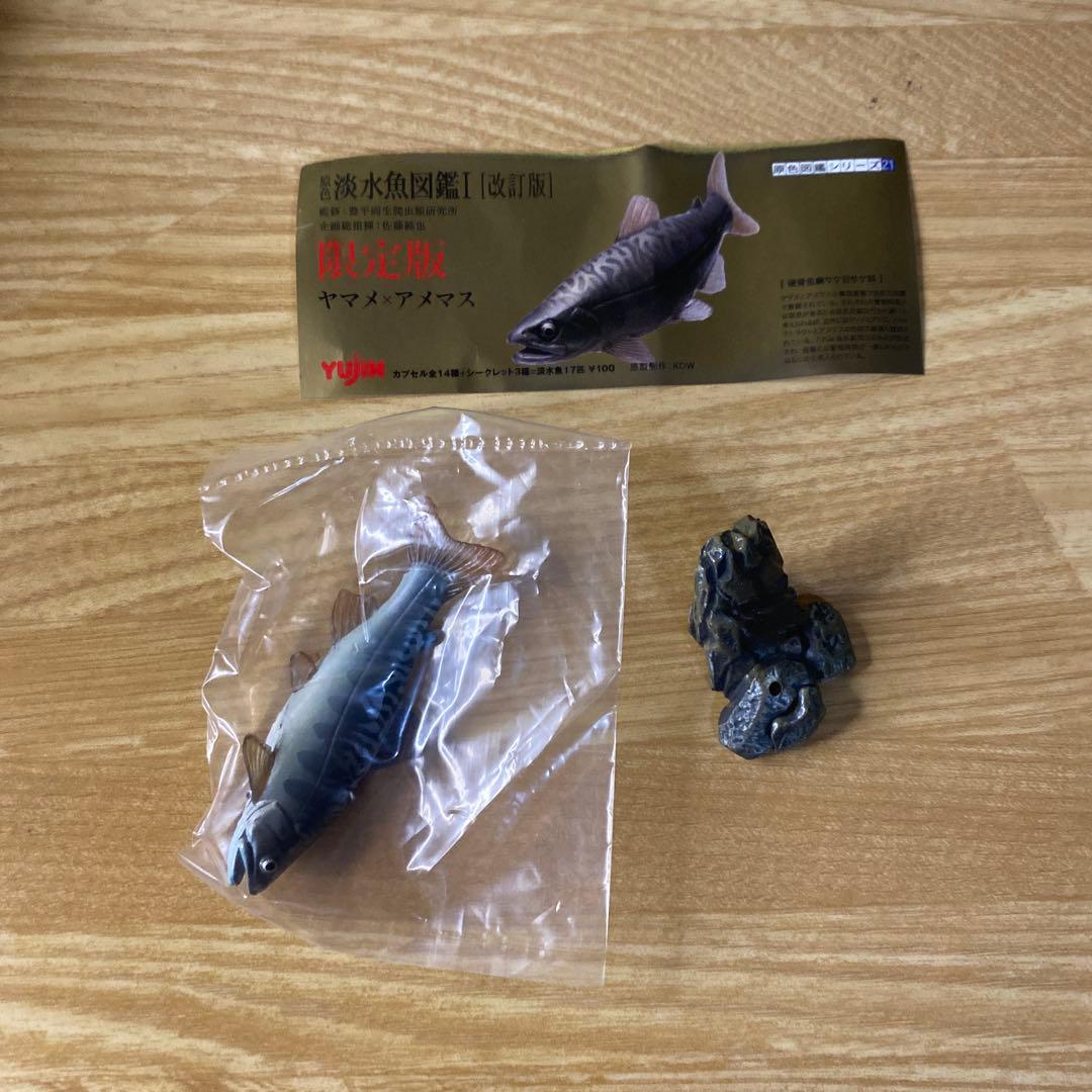 未使用】YUJIN 原色 淡水魚図鑑Ⅰ 改訂版 ヤマメ × アメマス - メルカリ