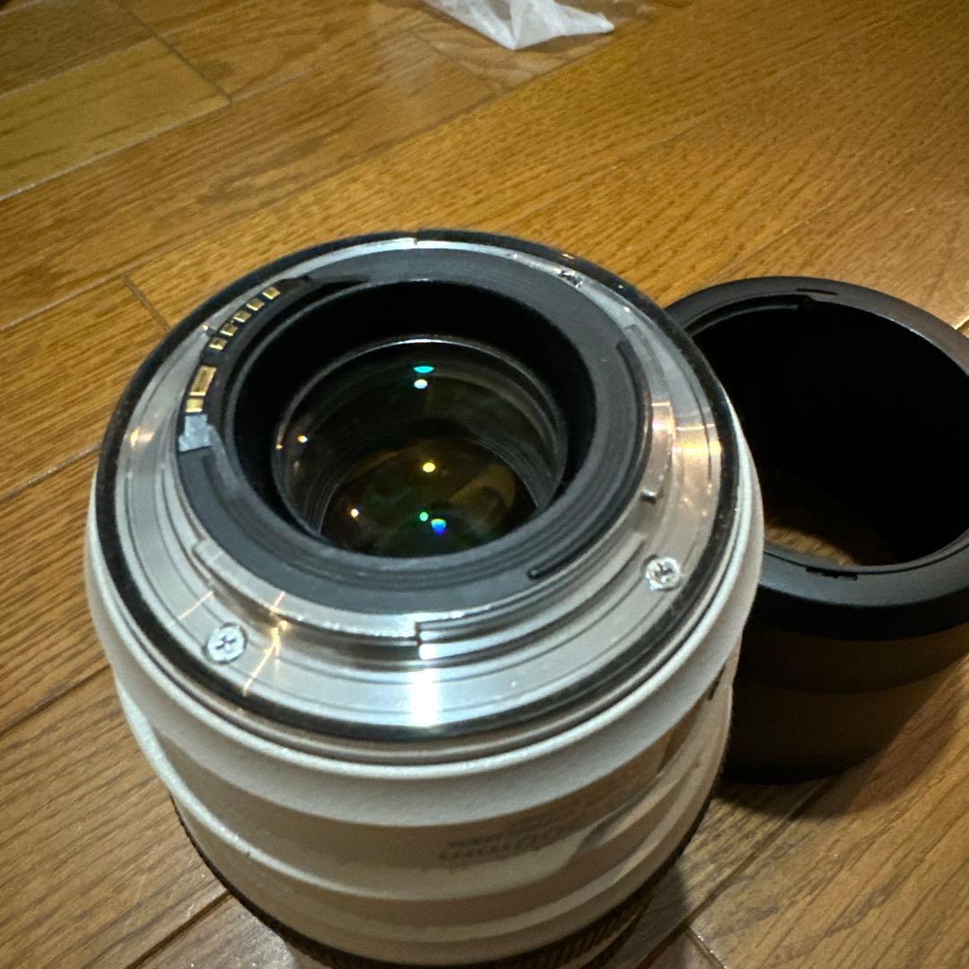 レンズ(ズーム) Canon EF 70-300mm f/4-5.6 L IS USM