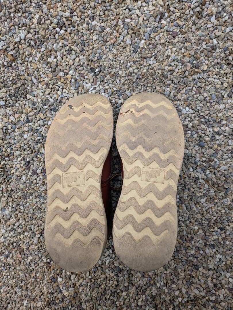 レッドウイング8875 7.5E