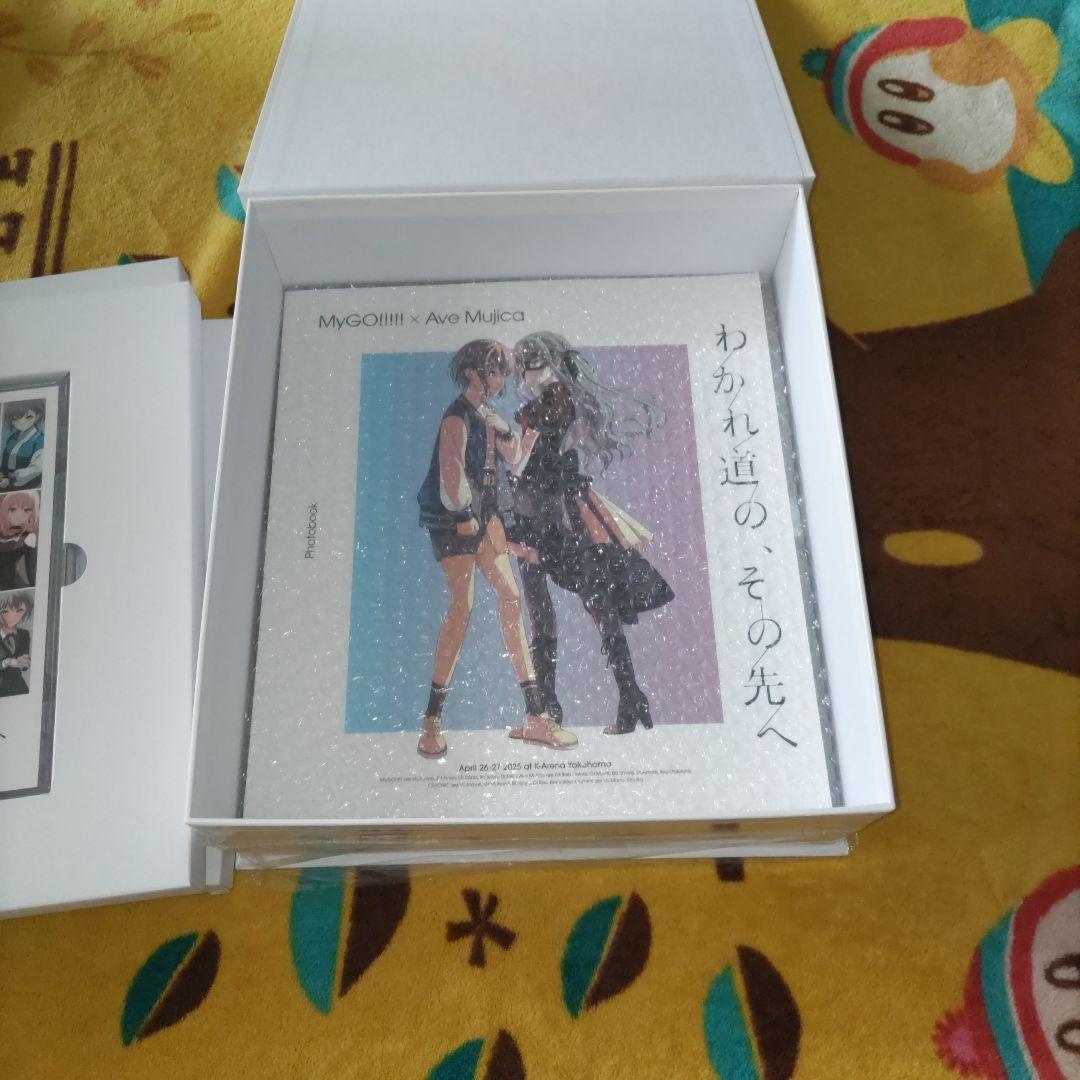 【シリアル欠品】【中古品】完全生産限定版　「わかれ道の、その先へ」