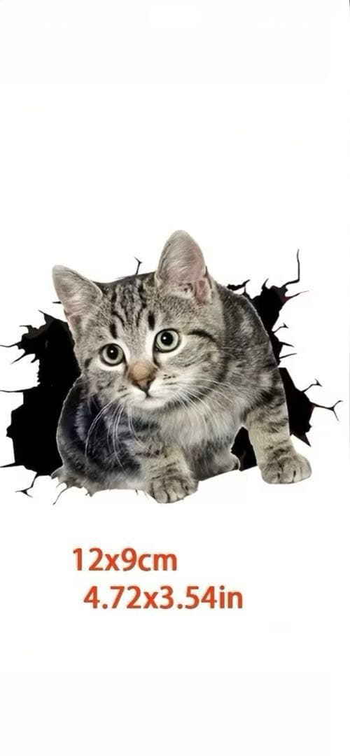 リアル猫(=^x^=)❣️ステッカー［10］ - メルカリ