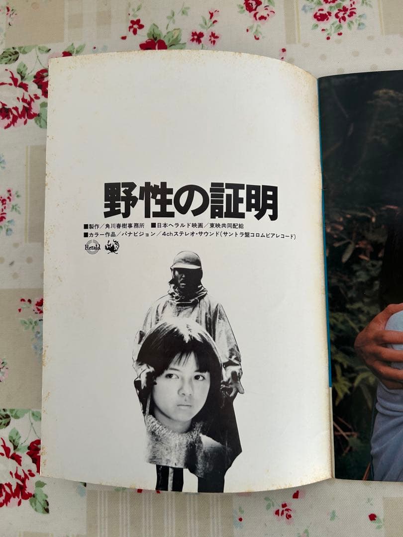 映画 野性の証明 パンフレット 高倉健 薬師丸ひろ子 - メルカリ