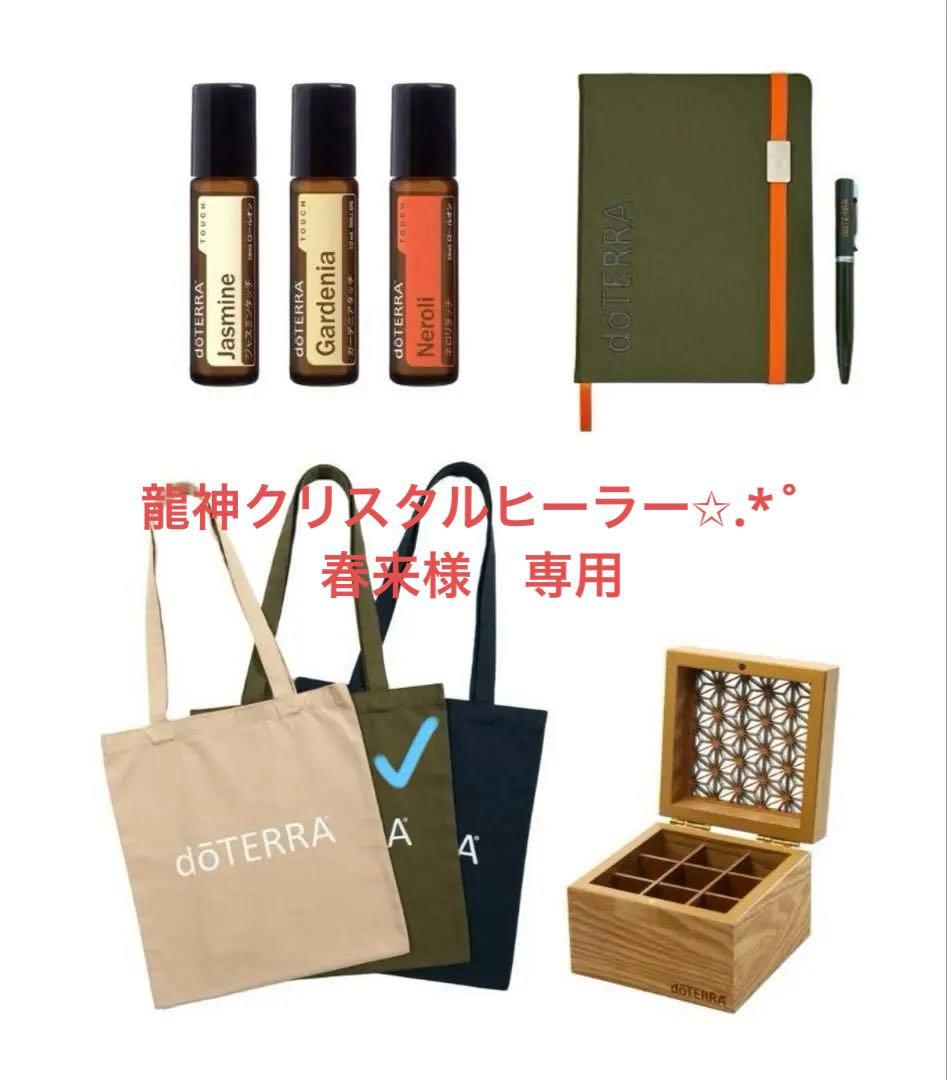 【専用】 Amazon | バイク用 タンデムステップ スライダー 対応車種 カワサキ ZX