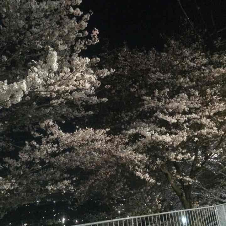 アヌビス atmosよりadidas Originals ATMOS “SETSUBUN PACK” ZX 2K BOOST PURE