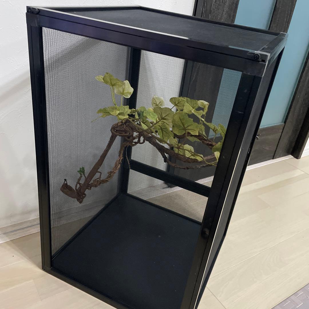 飼育ケージ ケージ 42×42×66 爬虫類 カメレオン メッシュ レイアウト
