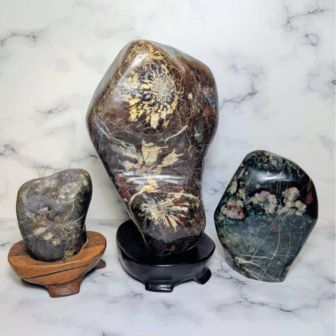 菊花石 3石セット 鑑賞石 観賞石 飾り石 鉱物 - メルカリ