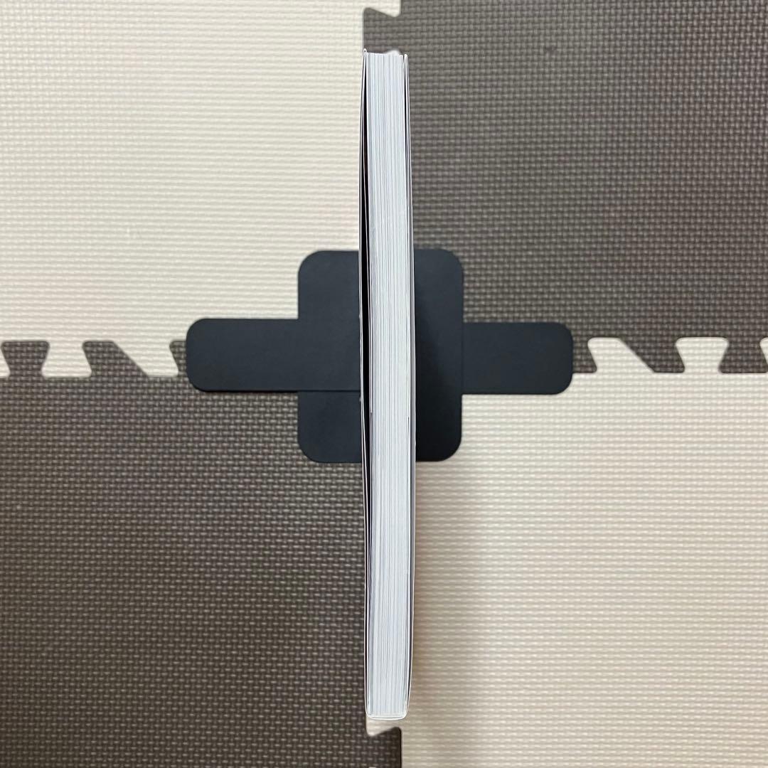 パーフェクトヌードポーズ PerfectNUDEPOSE 高橋しょう子 絵画技法