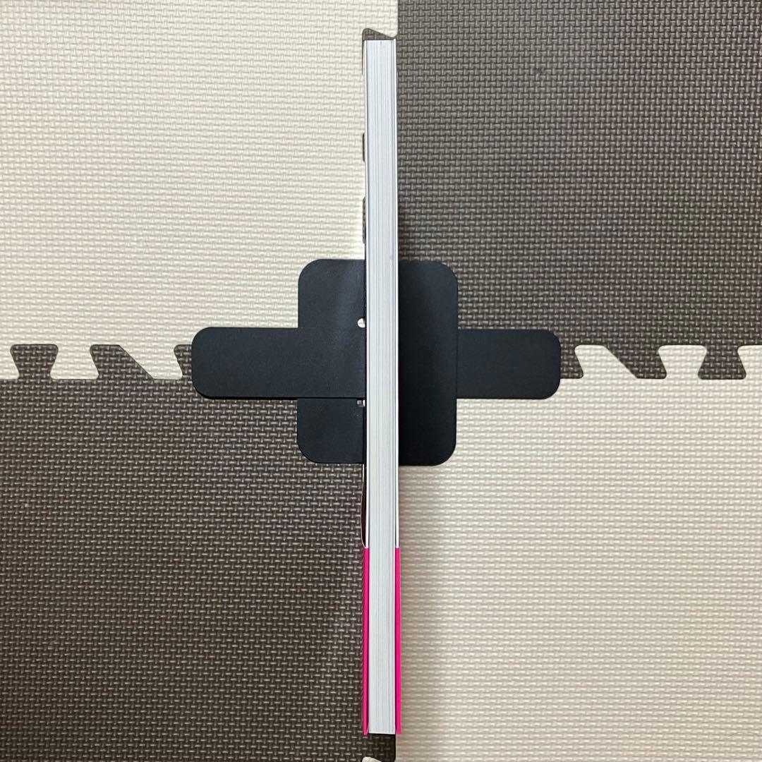 パーフェクトヌードポーズ PerfectNUDEPOSE 高橋しょう子 絵画技法