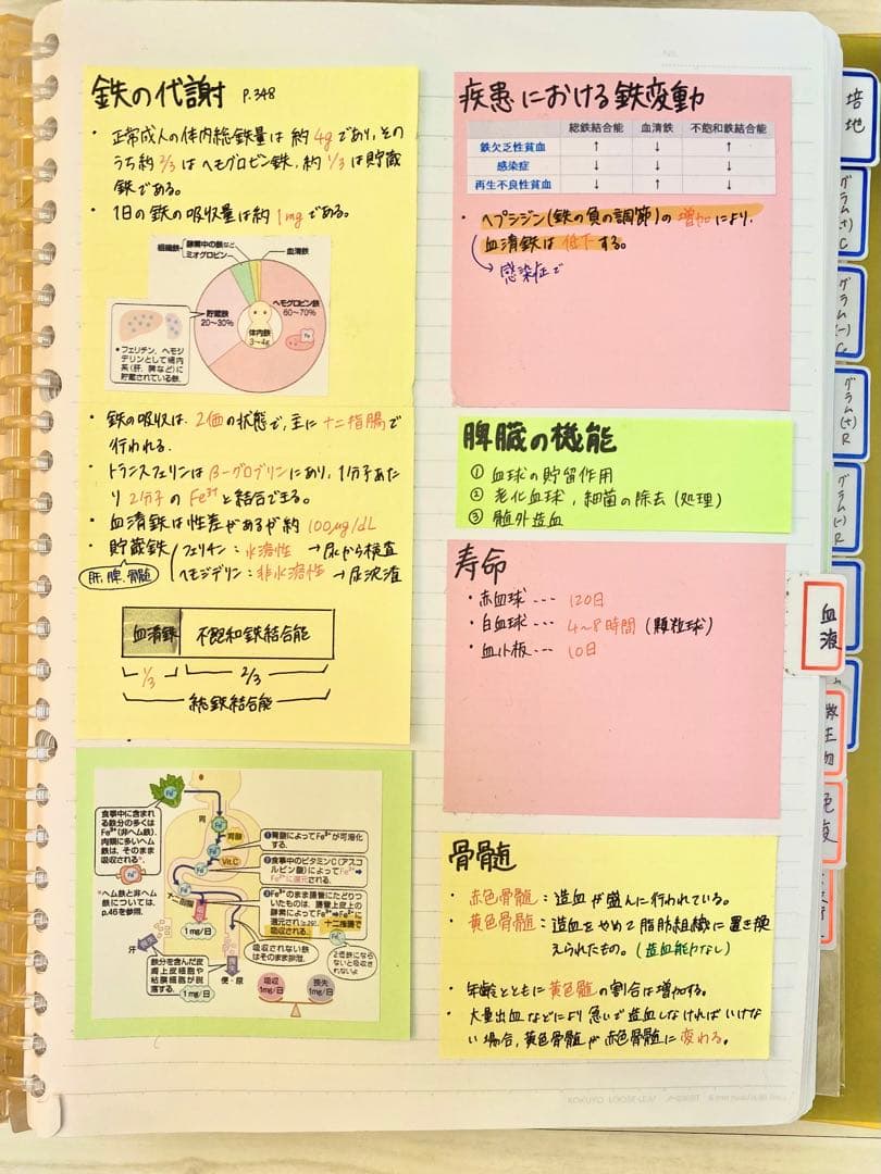 臨床検査技師 国家試験まとめノート - メルカリ