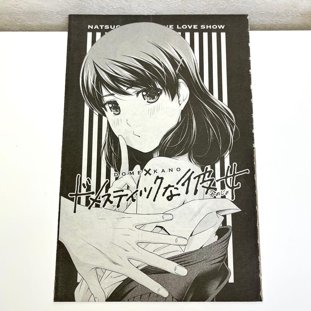 ドメスティックな彼女　全巻セット